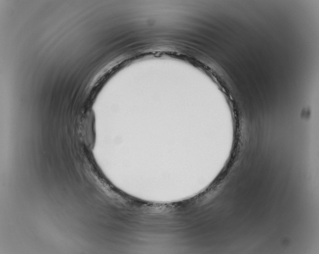 X0000113070826200910091206