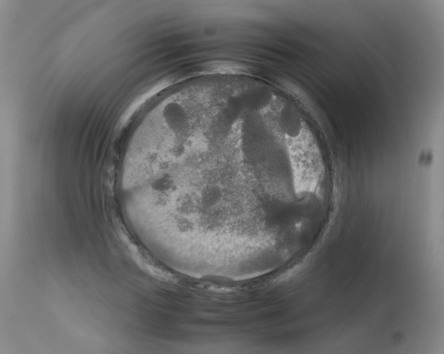 X0000113070827200910091206