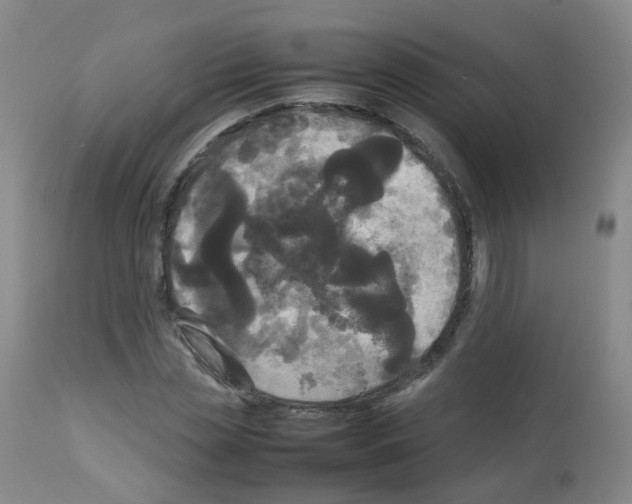 X0000113070829200910091206
