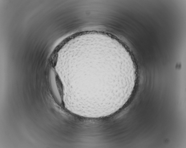 X0000113070830200910091206