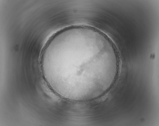 X0000113070832200910091206