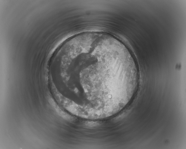 X0000113070835200910091206