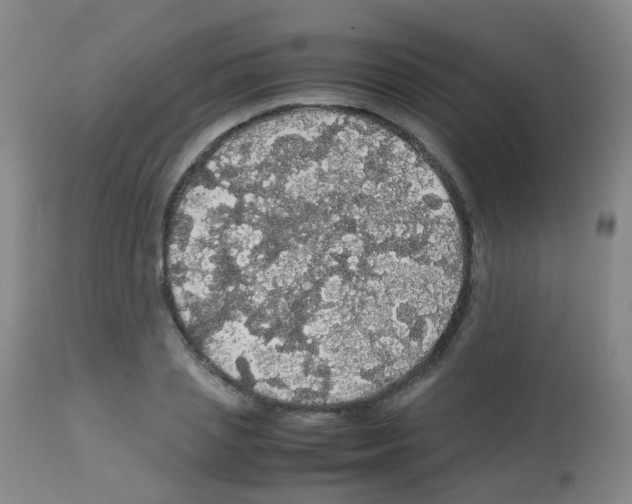 X0000113070837200910091206