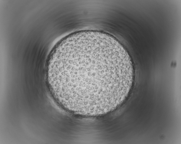 X0000113070838200910091206