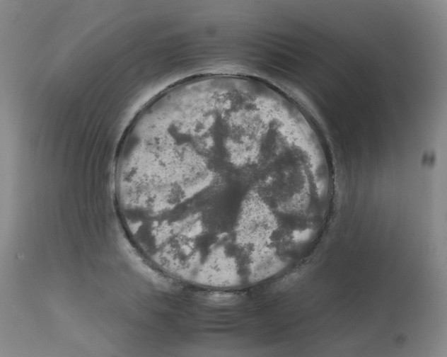 X0000113070839200910091206