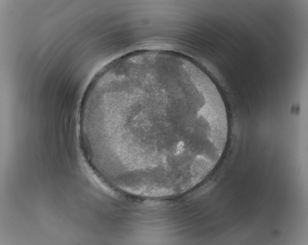 X0000113070840200910091206