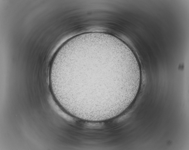 X0000113070843200910091206