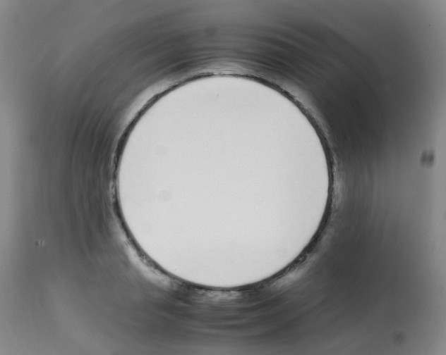 X0000113070845200910091206