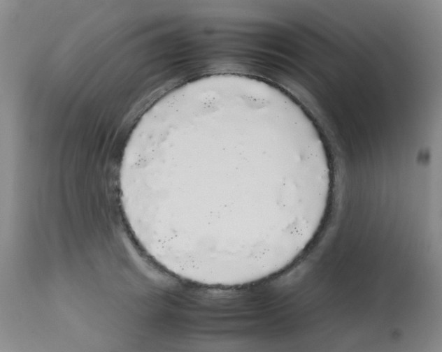 X0000113070849200910091206