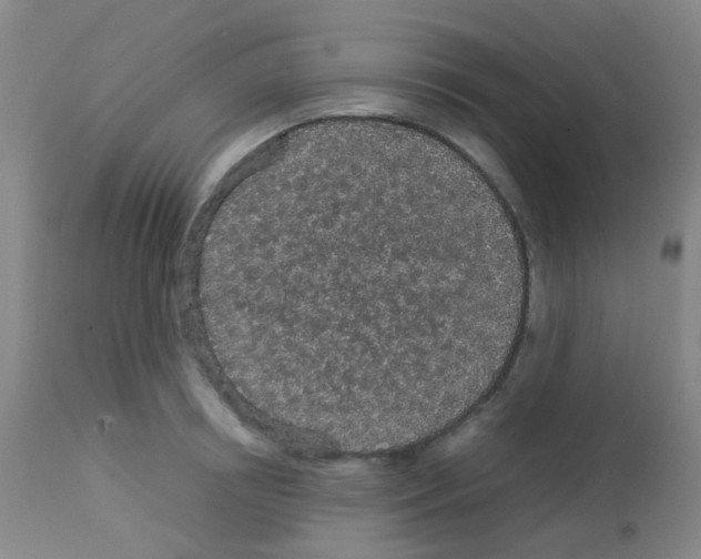 X0000113070850200910091206