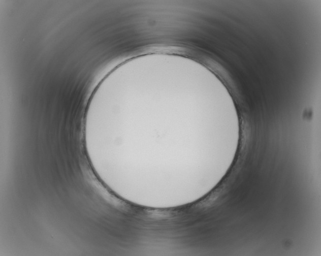 X0000113070852200910091206