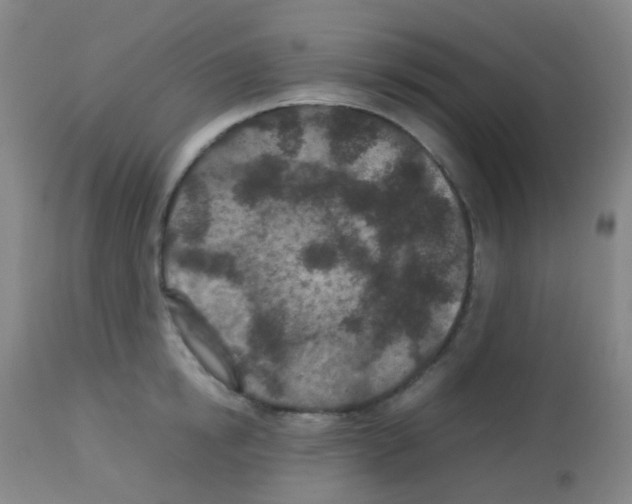 X0000113070854200910091206