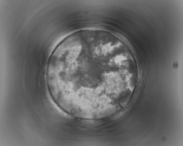 X0000113070855200910091206
