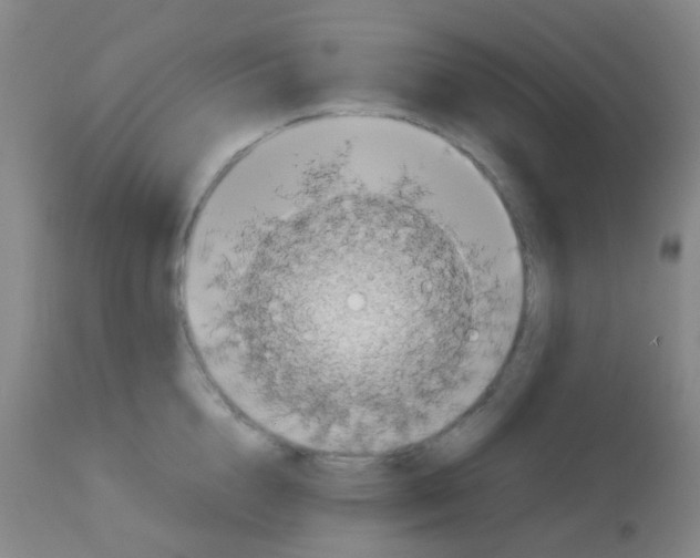 X0000113070856200910091206