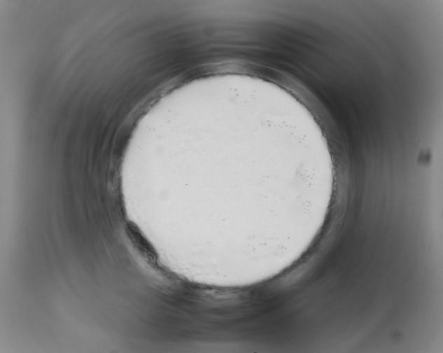 X0000113070857200910091206