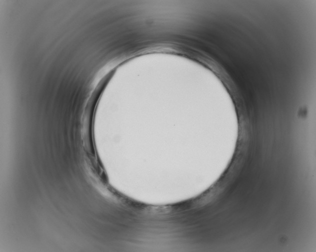 X0000113070858200910091206