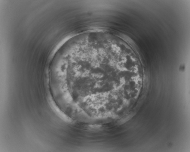 X0000113070859200910091206