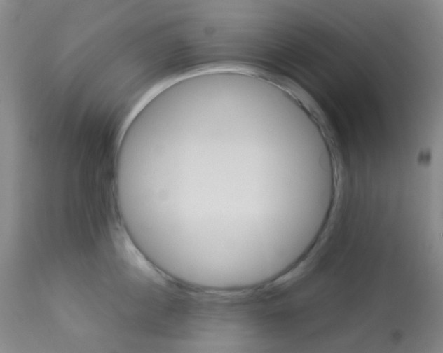 X0000113070860200910091206