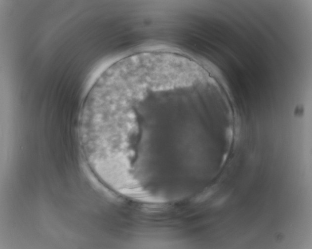 X0000113070863200910091206
