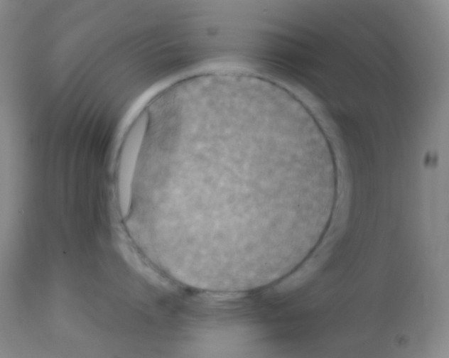X0000113070864200910091206