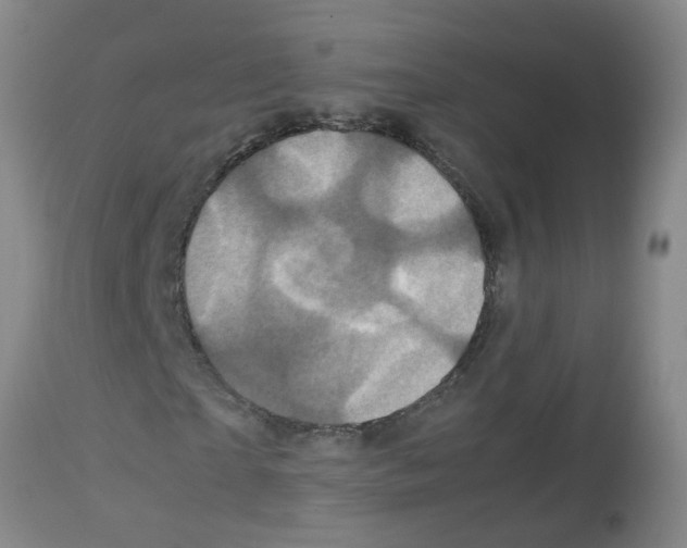 X0000113070865200910091206