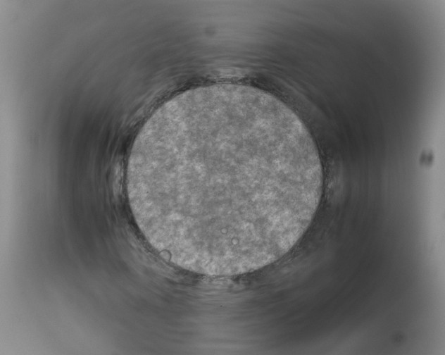 X0000113070866200910091206