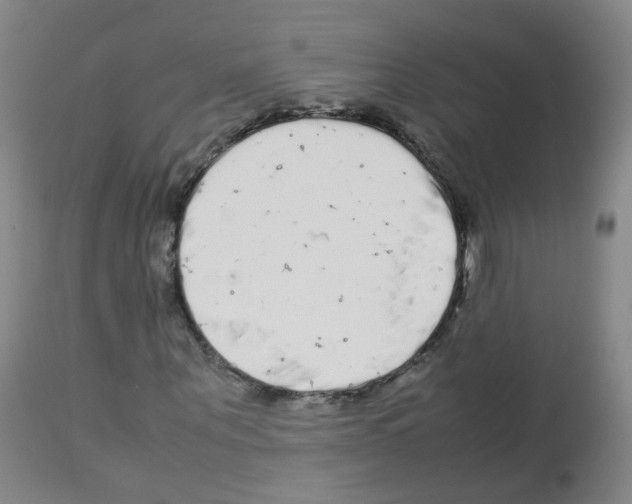 X0000113070867200910091206