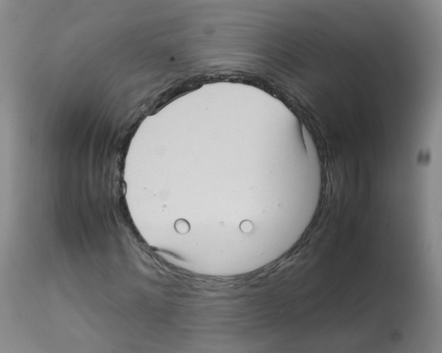 X0000113070868200910091206