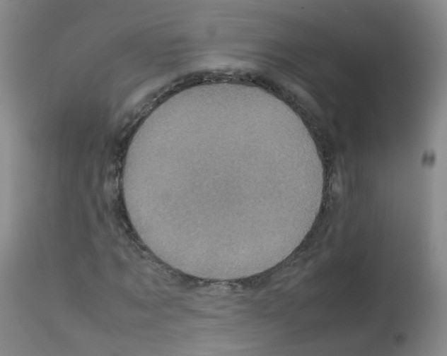 X0000113070869200910091206