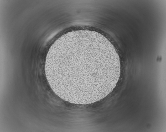 X0000113070871200910091205
