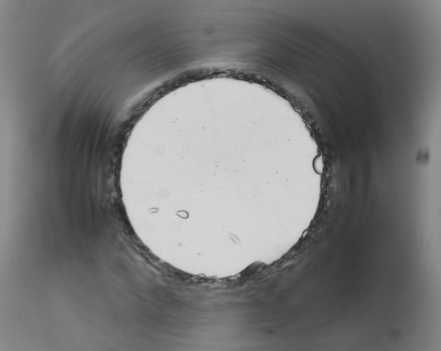 X0000113070872200910091205