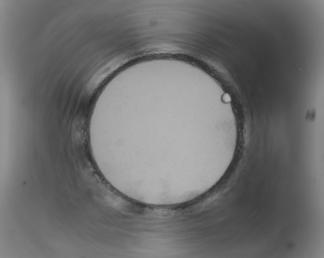 X0000113070873200910091205