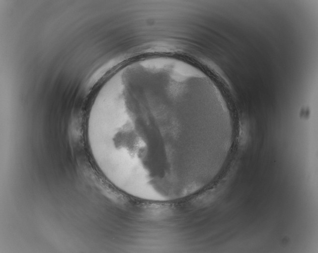 X0000113070874200910091205