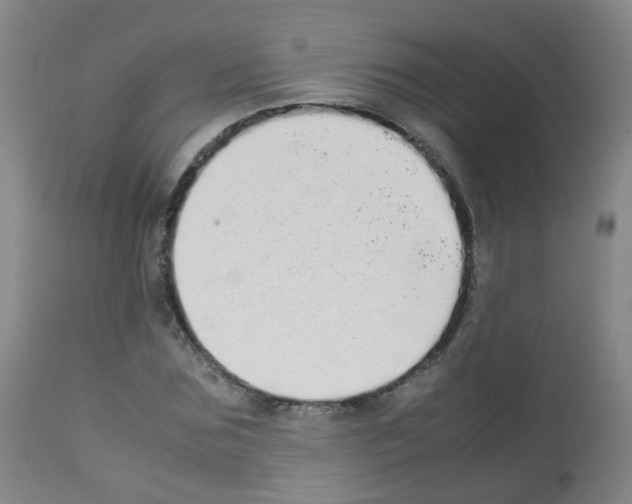 X0000113070875200910091205