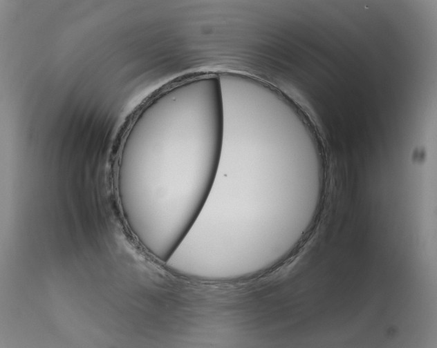 X0000113070876200910091205