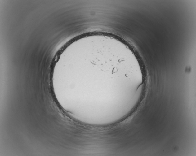 X0000113070877200910091205