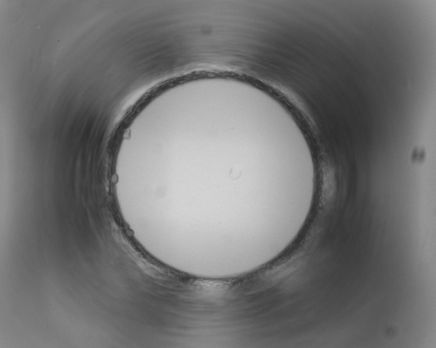 X0000113070878200910091205