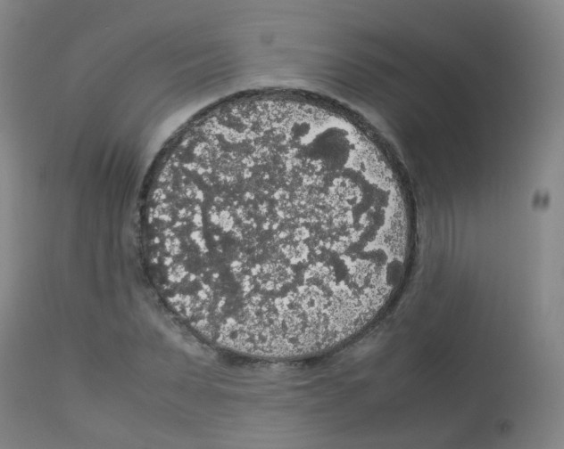 X0000113070879200910091205