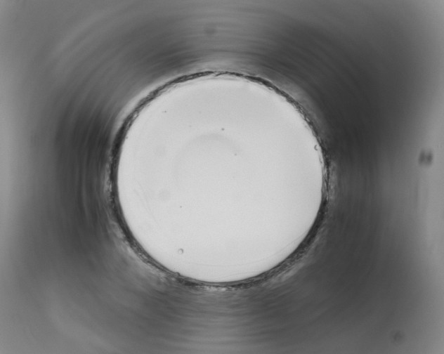 X0000113070880200910091205