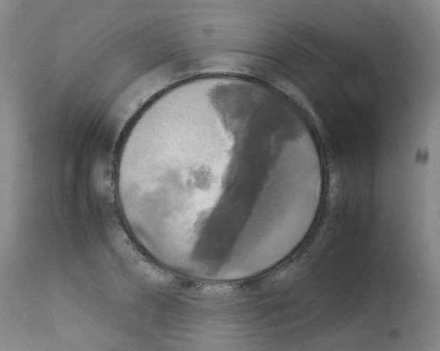 X0000113070882200910091205