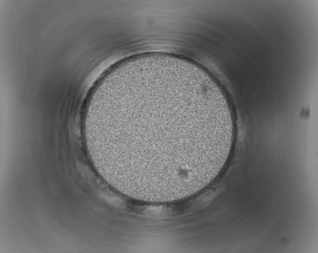 X0000113070883200910091205