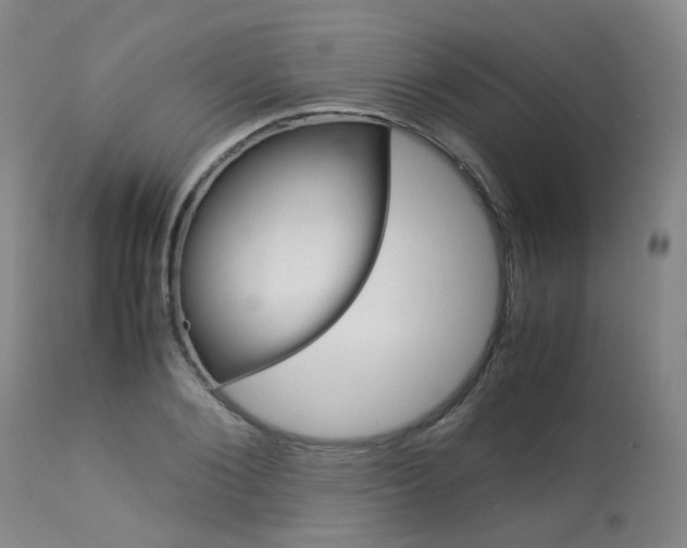 X0000113070884200910091205