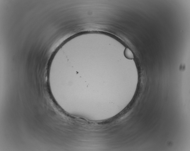 X0000113070885200910091205