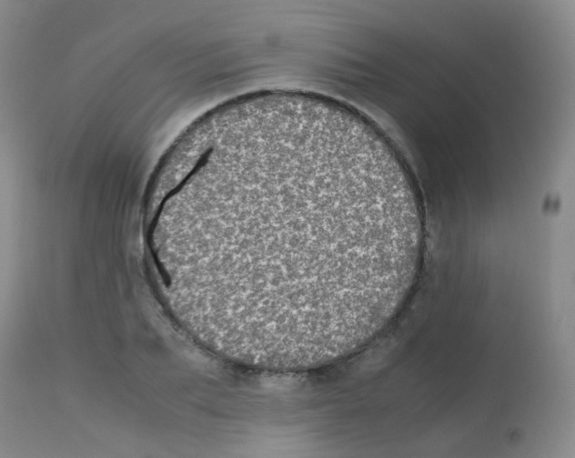 X0000113070887200910091205