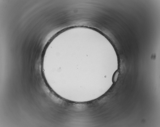 X0000113070888200910091205