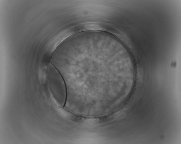 X0000113070889200910091205