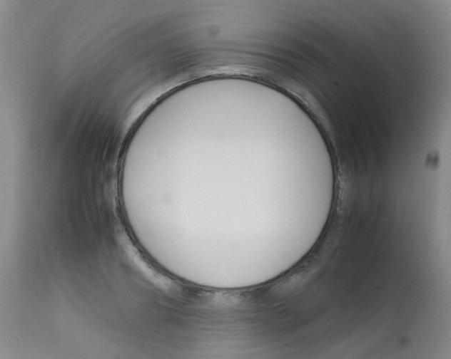 X0000113070890200910091205