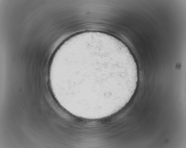 X0000113070891200910091205