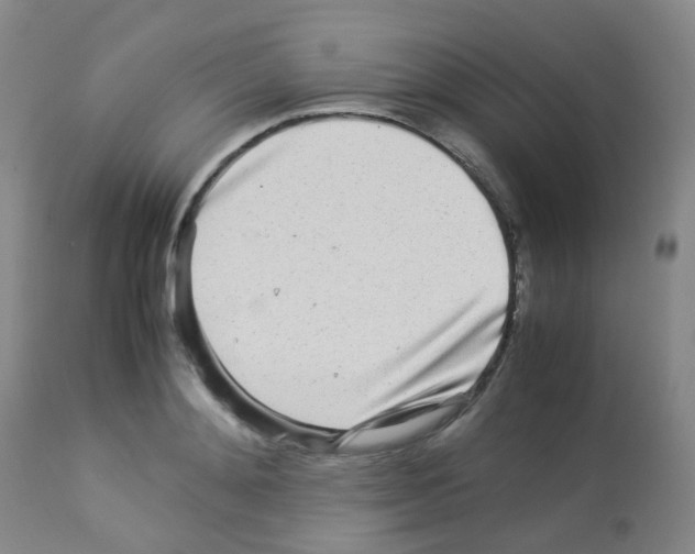 X0000113070892200910091205