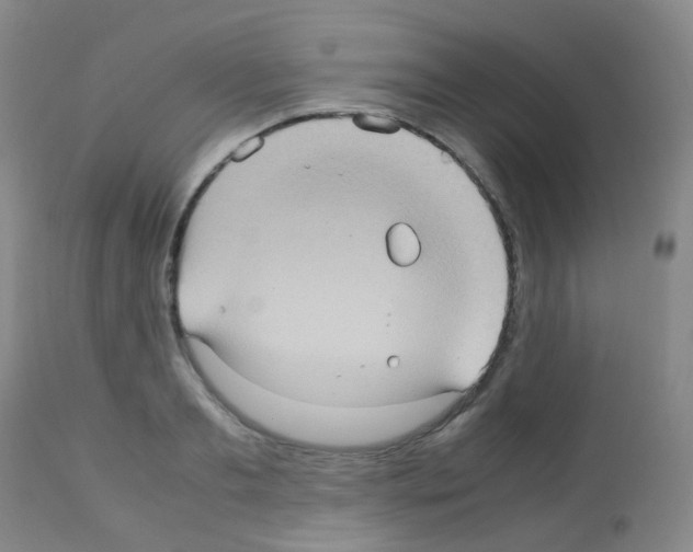 X0000113070893200910091205
